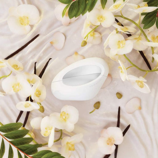 Perfume de Mujer Ariana Grande Mod Vanilla 100 ml